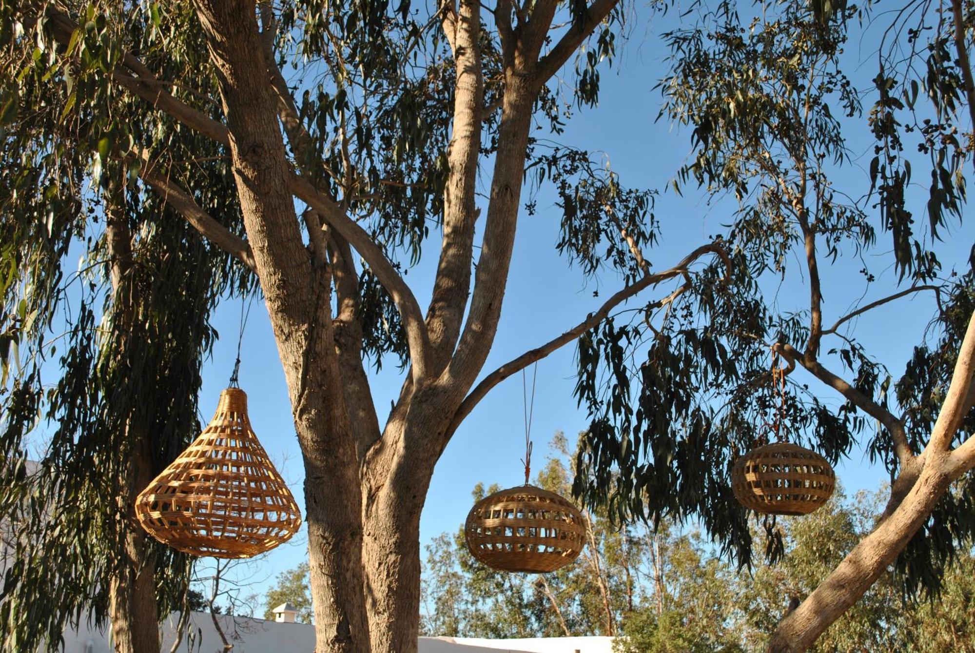 Maison Sidi Et Lalla 索维拉 外观 照片